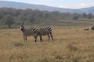 Hell's Gate National Park Kenia