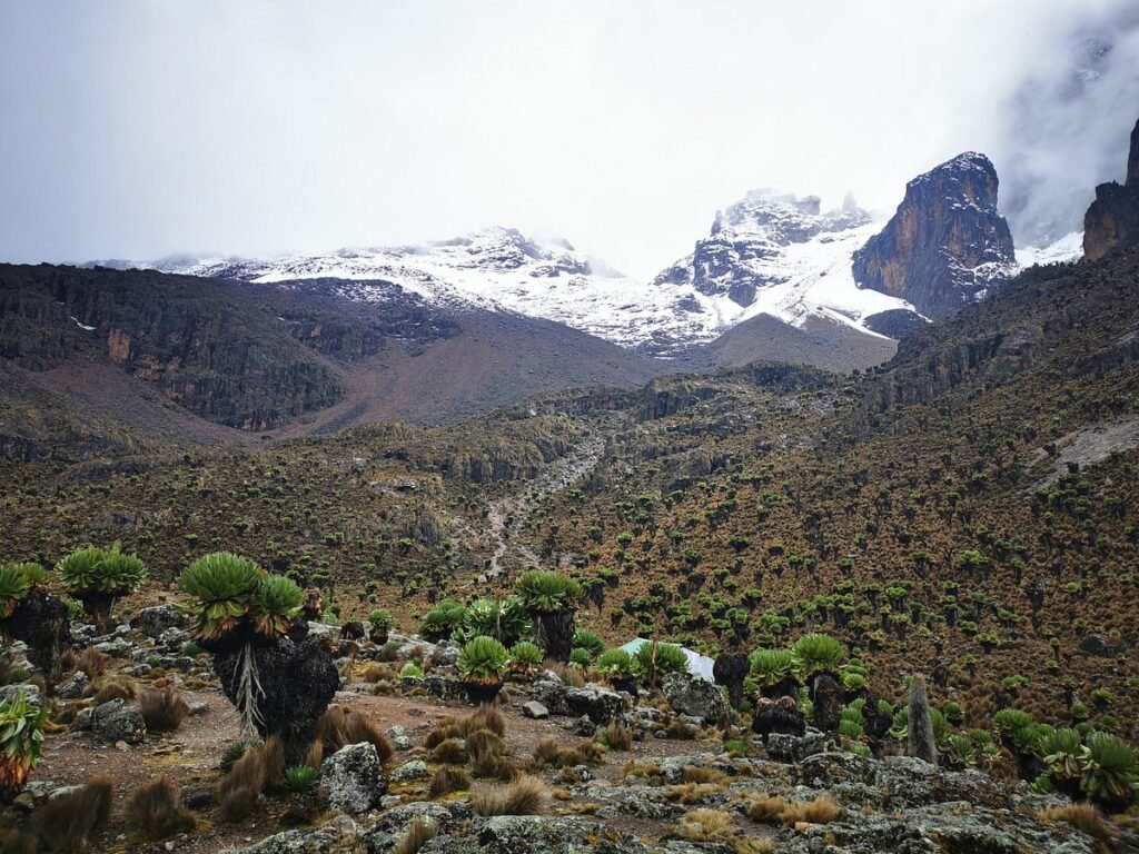 Wandelen in Kenia Mount Kenya