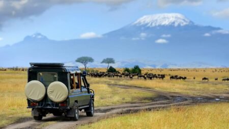 Safari Discover Kenia