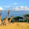 Safari Discover Kenia Deluxe